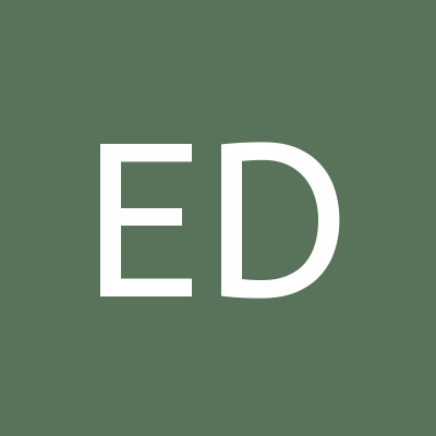 Elior Dayan The King